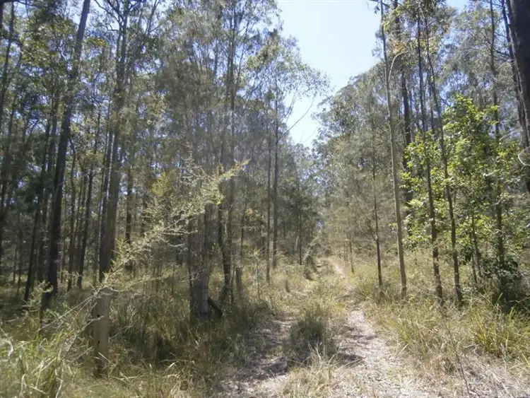 Third view of Homely rural property listing, 13760 Pacific Hwy, Nabiac NSW 2312