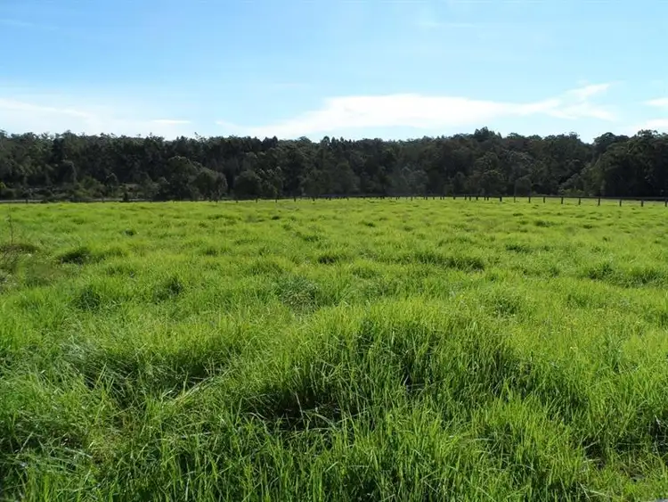 Seventh view of Homely rural property listing, 15510 Pacific Hwy, Rainbow Flat NSW 2430