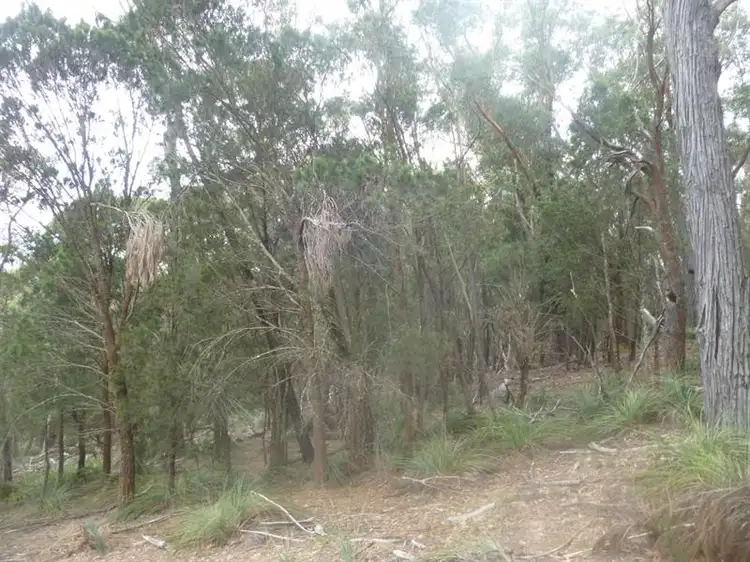Seventh view of Homely rural property listing, 8170 Nerriga Rd, Tomboye NSW 2622