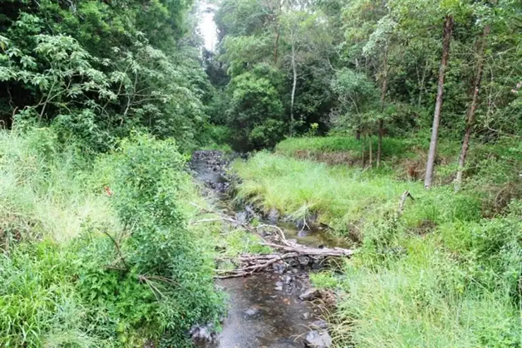 Seventh view of Homely rural property listing, 573 Blue Knob Rd, Blue Knob NSW 2480