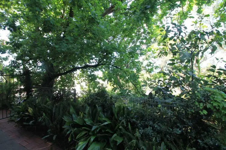 Sixth view of Homely apartment listing, 3/13A Queen Street, Arncliffe NSW 2205