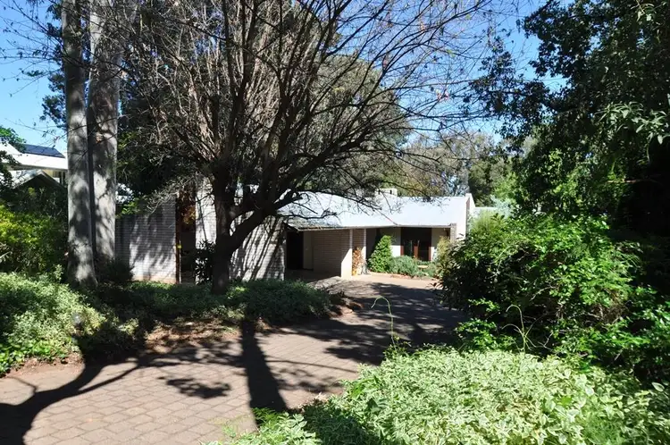 Main view of Homely house listing, 13 Dalton Street, Dubbo NSW 2830