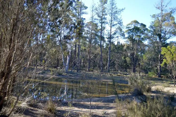 Sixth view of Homely rural property listing, 29 Mogo Road, Windellama NSW 2580