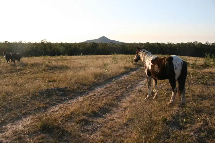 Third view of Homely rural property listing, 80 Bald Knob Tick Gate Road, Calamia NSW 2460