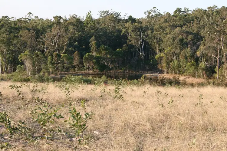 Fourth view of Homely rural property listing, 80 Bald Knob Tick Gate Road, Calamia NSW 2460