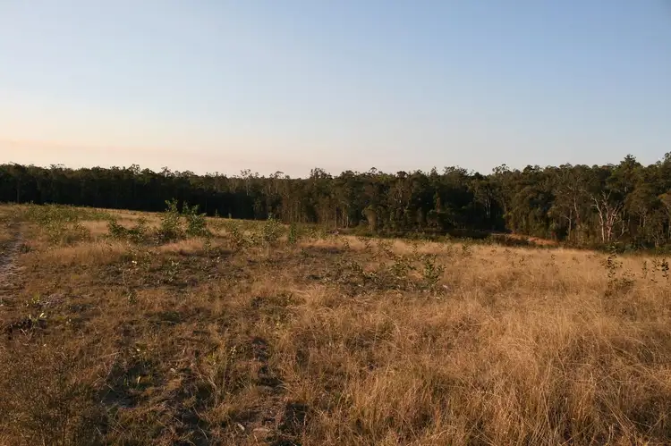 Seventh view of Homely rural property listing, 80 Bald Knob Tick Gate Road, Calamia NSW 2460