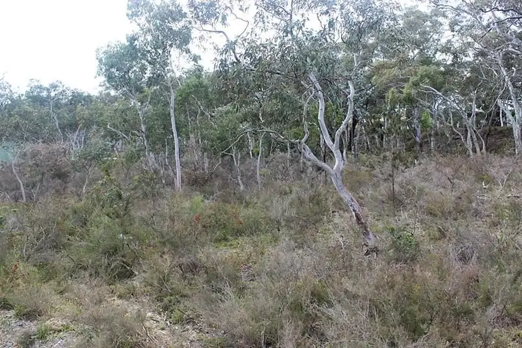 Third view of Homely land listing, 26-28 Railway Parade, Tallong NSW 2579