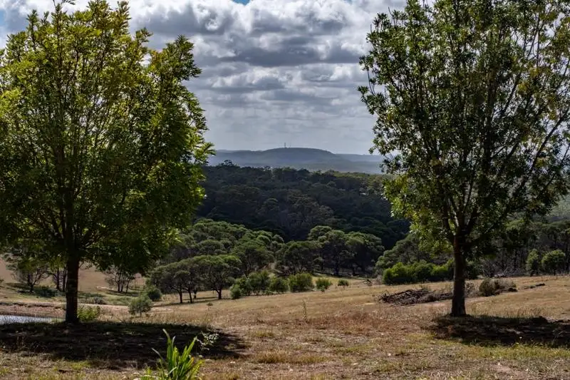 Main view of Homely rural property listing, 493 Red Hills Road, Marulan NSW 2579