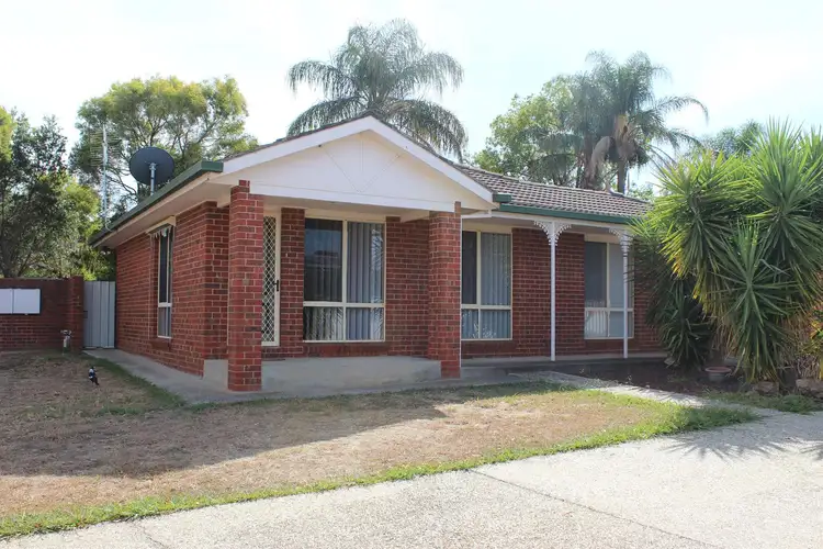 Main view of Homely unit listing, 1/42 Jackling Drive, Lavington NSW 2641