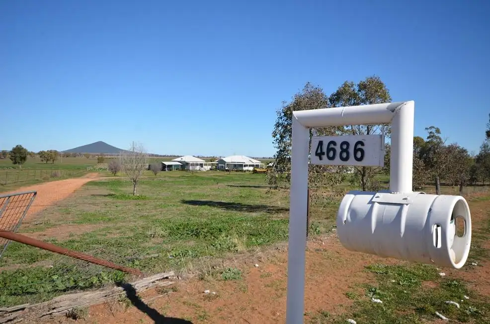 Main view of Homely rural property listing, 4686 Grain Valley Road, Boggabri NSW 2382