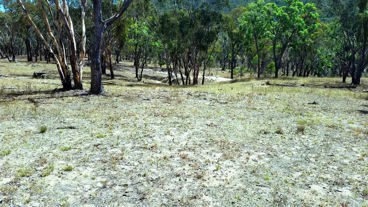 Third view of Homely rural property listing, 1911 Oxley Highway, Walcha NSW 2354
