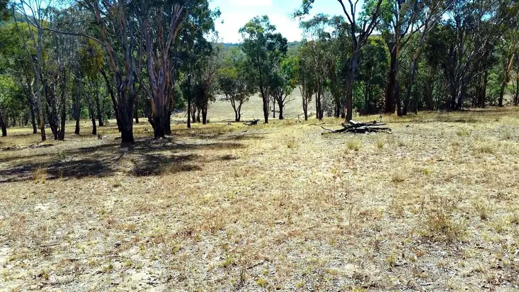 Fourth view of Homely rural property listing, 1911 Oxley Highway, Walcha NSW 2354