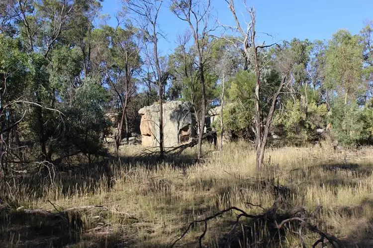 Fourth view of Homely rural property listing, 19 Patrick Rd, Dunedoo NSW 2844
