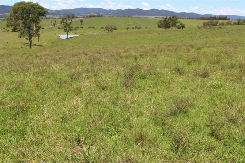 Main view of Homely rural property listing, 3797 Bucketts Way, Gloucester NSW 2422