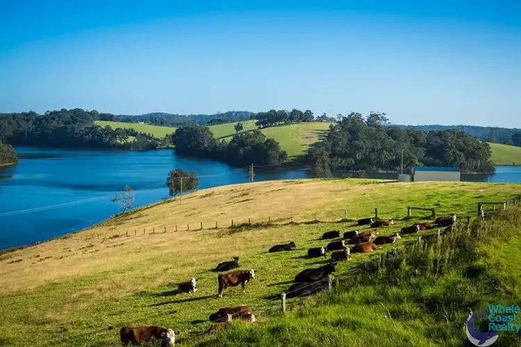 Sixth view of Homely rural property listing, Lot 201 Princes Hwy, Corunna NSW 2546