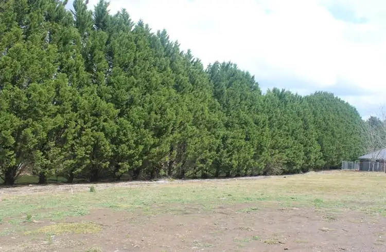 Sixth view of Homely land listing, 34 Rochester  Drive, Bundanoon NSW 2578