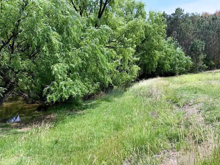 Fifth view of Homely house listing, 41 Uralla Street, Uralla NSW 2358