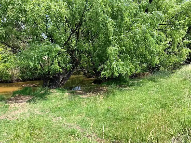 Sixth view of Homely house listing, 41 Uralla Street, Uralla NSW 2358