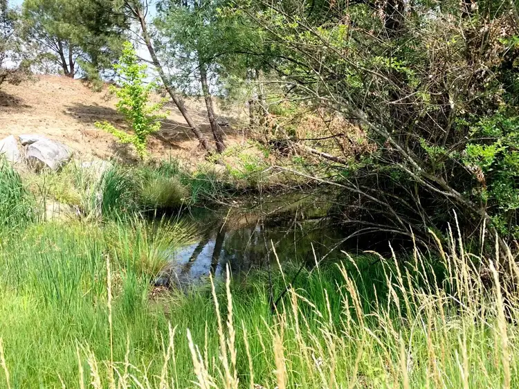 Seventh view of Homely house listing, 41 Uralla Street, Uralla NSW 2358