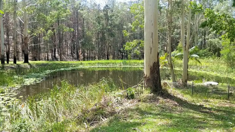 Fourth view of Homely rural property listing, 3023 The Lakes Way, Tarbuck Bay NSW 2428