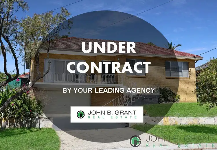 Main view of Homely house listing, 25 Judith Street, Chester Hill NSW 2162