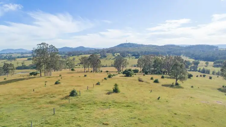 Third view of Homely rural property listing, Lot 1 Wyndella Road, Lochinvar NSW 2321