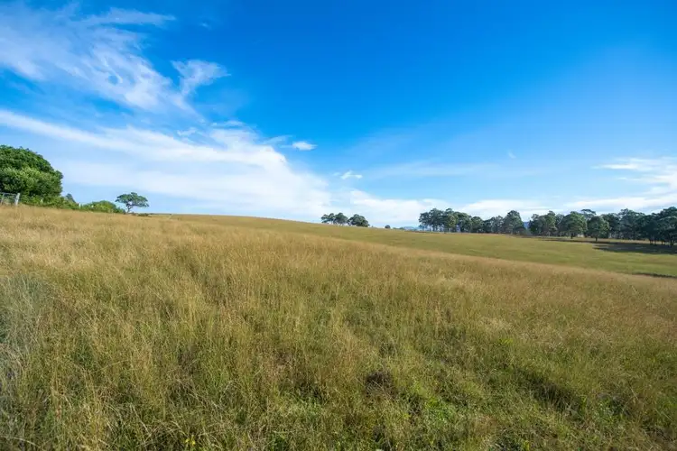 Seventh view of Homely rural property listing, Lot 22 Wyndella Road, Lochinvar NSW 2321