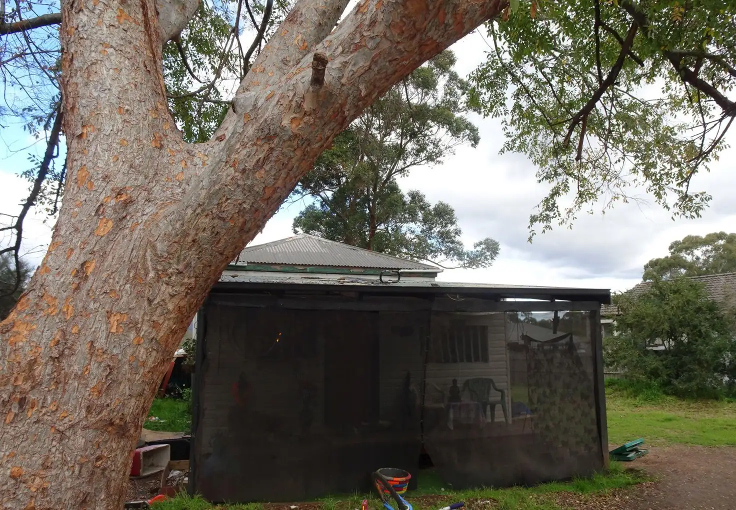 Main view of Homely house listing, 16 Teece Street, Weston NSW 2326