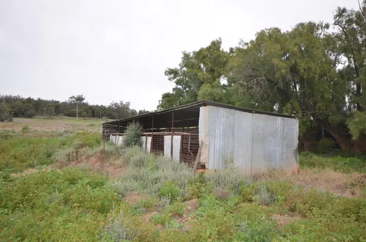 Fourth view of Homely rural property listing, 9420 Oxley Highway, Gunnedah NSW 2380