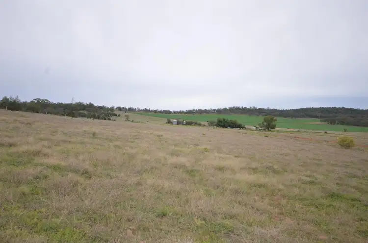 Sixth view of Homely rural property listing, 9420 Oxley Highway, Gunnedah NSW 2380