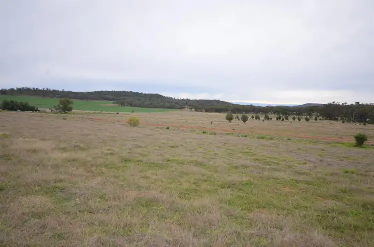 Seventh view of Homely rural property listing, 9420 Oxley Highway, Gunnedah NSW 2380