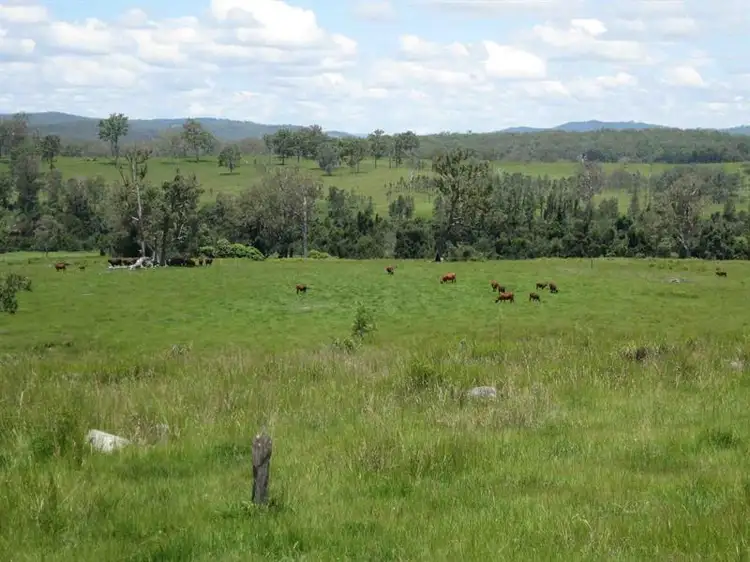 Third view of Homely rural property listing, 41 Peckhams Rd, Ewingar NSW 2469