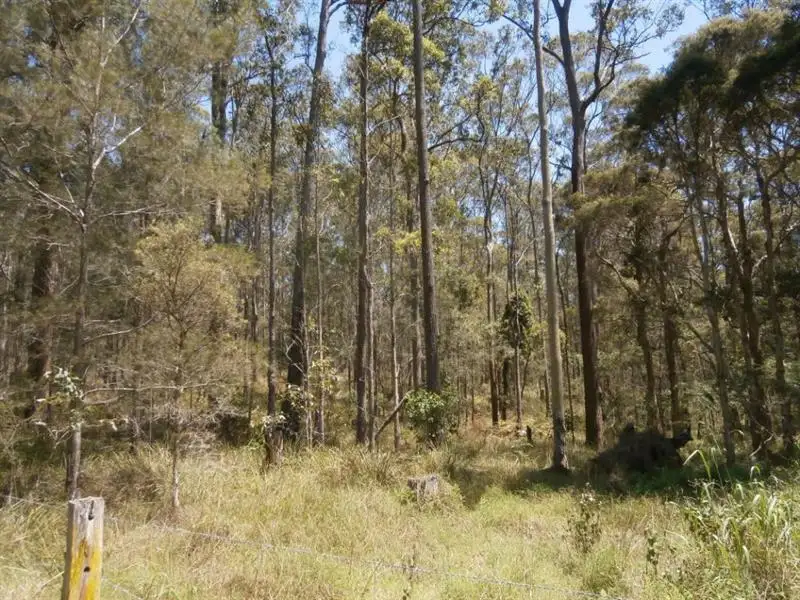 Main view of Homely rural property listing, 13760 Pacific Hwy, Nabiac NSW 2312