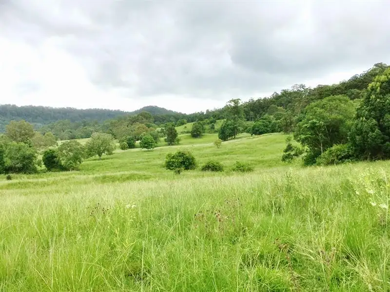 Main view of Homely rural property listing, 78 Davis Rd, Jiggi NSW 2480