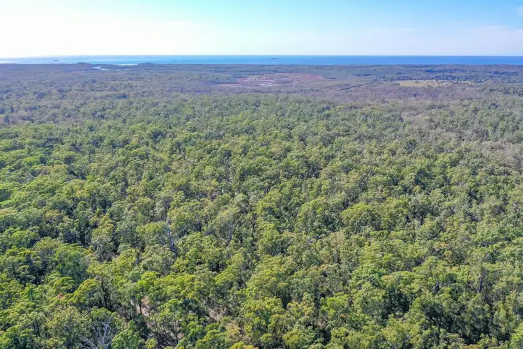 Second view of Homely rural property listing, 3282 Solitary Islands Way, Corindi Beach NSW 2456