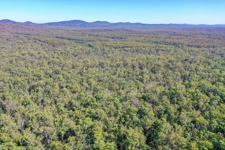 Fifth view of Homely rural property listing, 3282 Solitary Islands Way, Corindi Beach NSW 2456