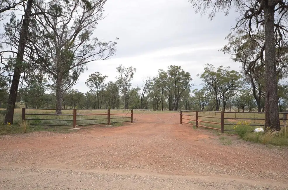 Main view of Homely rural property listing, 1138 Caloola Road, Boggabri NSW 2382