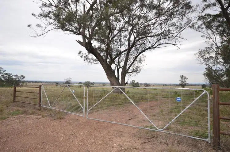 Third view of Homely rural property listing, 1138 Caloola Road, Boggabri NSW 2382