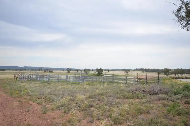 Fourth view of Homely rural property listing, 1138 Caloola Road, Boggabri NSW 2382