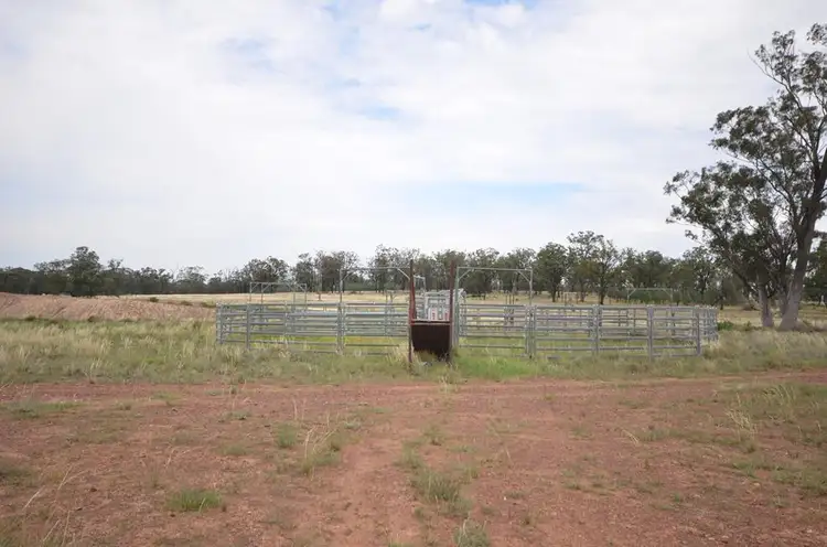 Fifth view of Homely rural property listing, 1138 Caloola Road, Boggabri NSW 2382