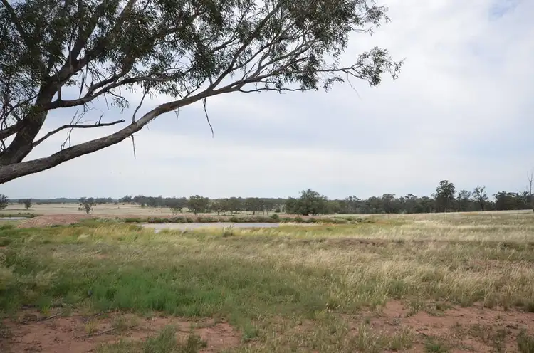 Sixth view of Homely rural property listing, 1138 Caloola Road, Boggabri NSW 2382