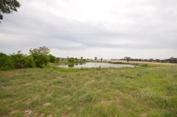 Seventh view of Homely rural property listing, 1138 Caloola Road, Boggabri NSW 2382