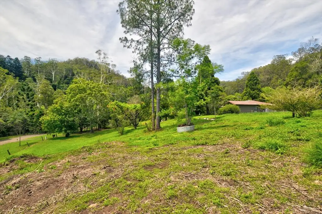 Main view of Homely rural property listing, 206 Davis Road, Jiggi NSW 2480