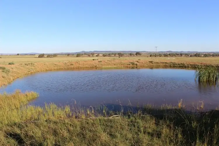 Sixth view of Homely rural property listing, 19 Patrick Rd, Dunedoo NSW 2844