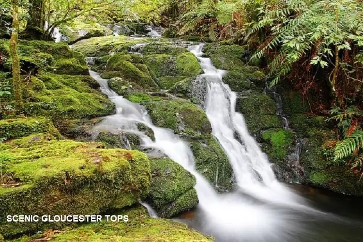 Fifth view of Homely land listing, 7 Moppy Close, Gloucester NSW 2422