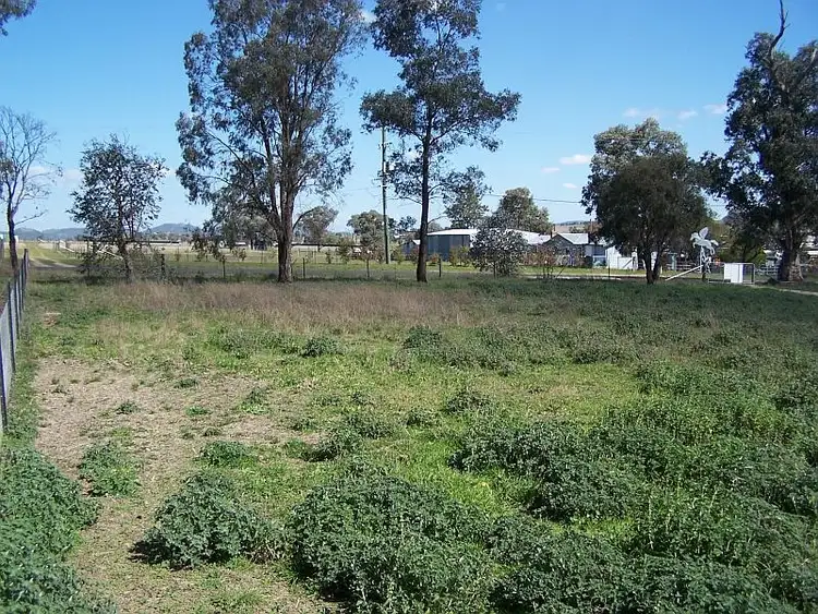Sixth view of Homely land listing, Lot 1 George/Maunders St, Moonbi NSW 2353