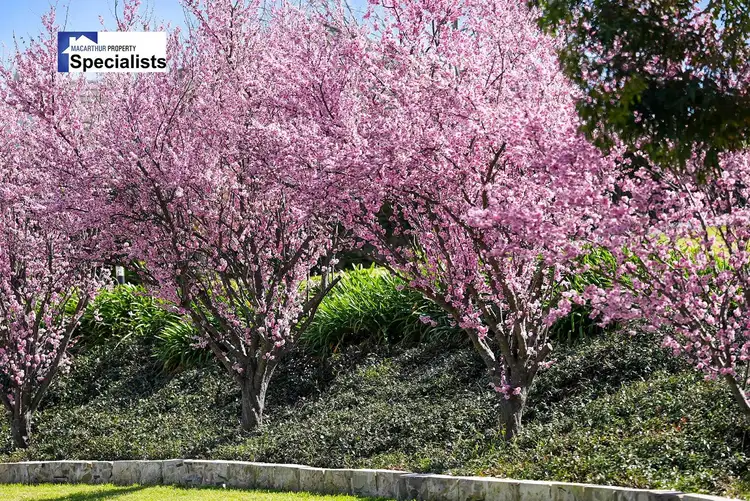 Third view of Homely house listing, 17 The Outlook, Kirkham NSW 2570