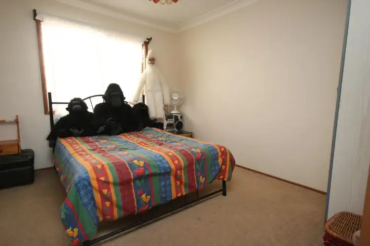 Sixth view of Homely house listing, 5 Gould  Dr, Lemon Tree Passage NSW 2319