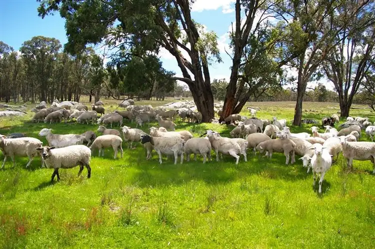 Third view of Homely rural property listing, 2782 Bonnay-linton Rd, Bundarra NSW 2359