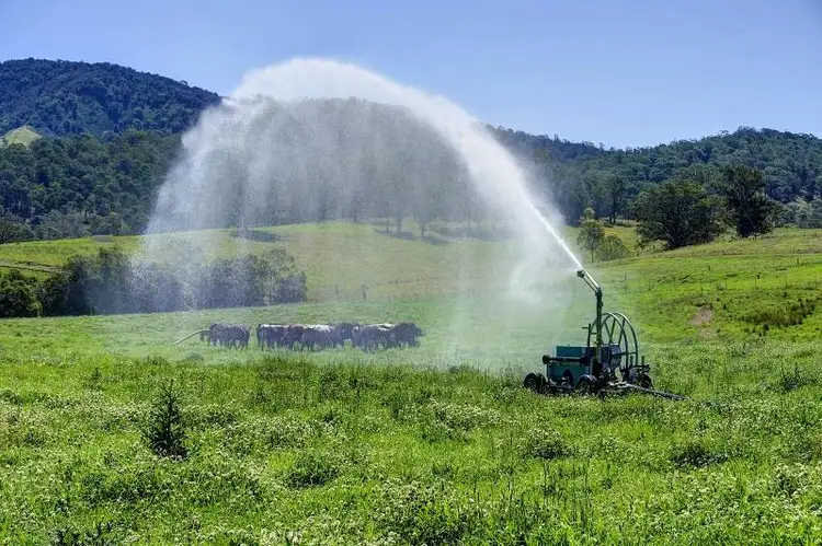 Second view of Homely rural property listing, 299 Callaghans Creek Road, Gloucester NSW 2422